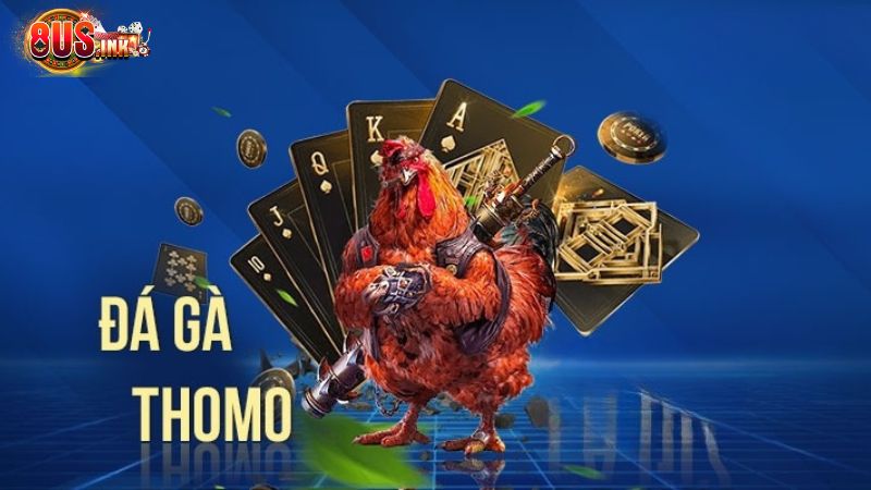 Trực tiếp Đá gà Thomo Trực tiếp Đá gà Thomo